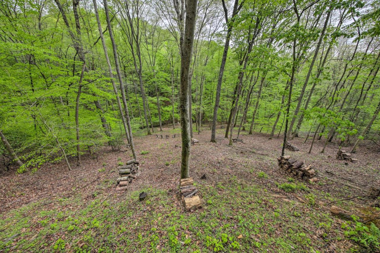 Peaceful Blue Ridge Cabin With Decks And Fire Pit Kültér fotó